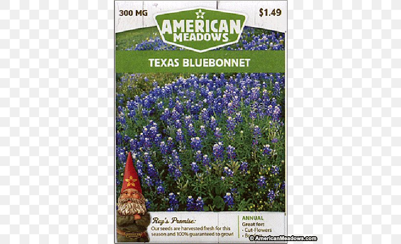 English Lavender Wildflower Catnips Meadow, PNG, 500x500px, English Lavender, American Meadows, Bluebonnet, Flora, Flower Download Free