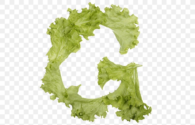 Lettuce Letter Food Vegetable, PNG, 525x525px, Lettuce, Art, Bread, Food, Leaf Download Free