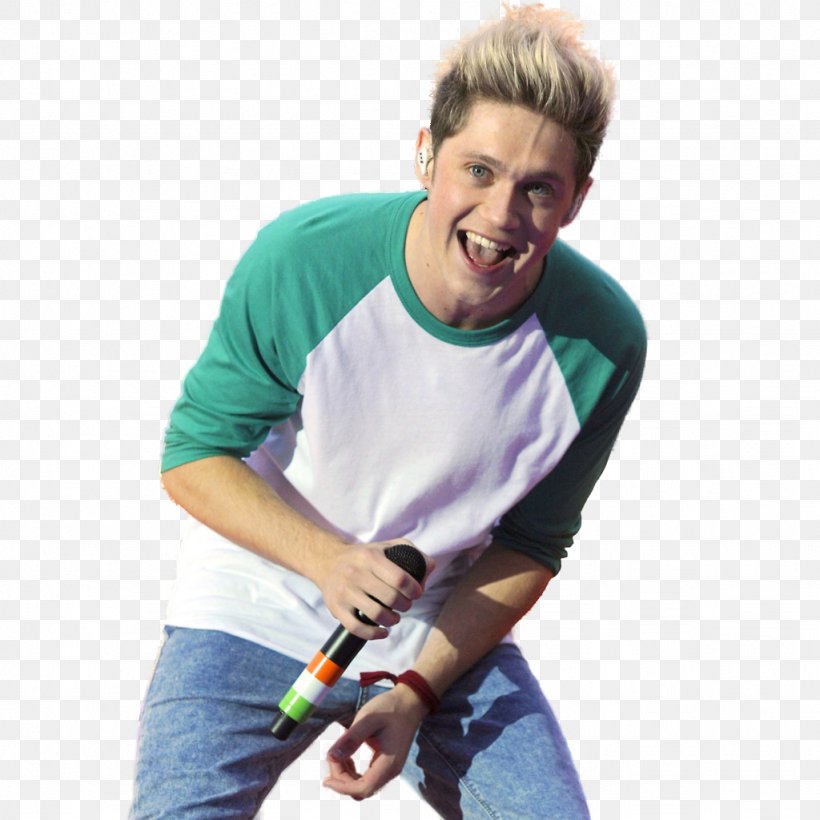 Niall Horan The X Factor Mullingar One Direction Take Me Home Tour, PNG, 1024x1024px, Watercolor, Cartoon, Flower, Frame, Heart Download Free