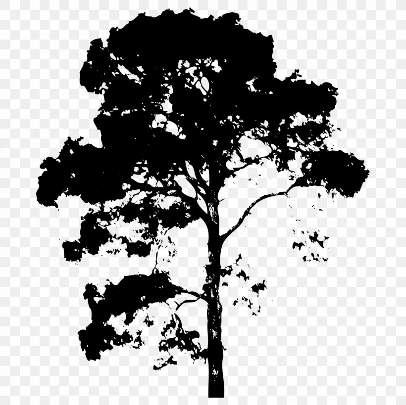 Branch Tree Drawing, PNG, 1600x1600px, Branch, Anleggsgartner, Black And White, Drawing, Flowering Plant Download Free
