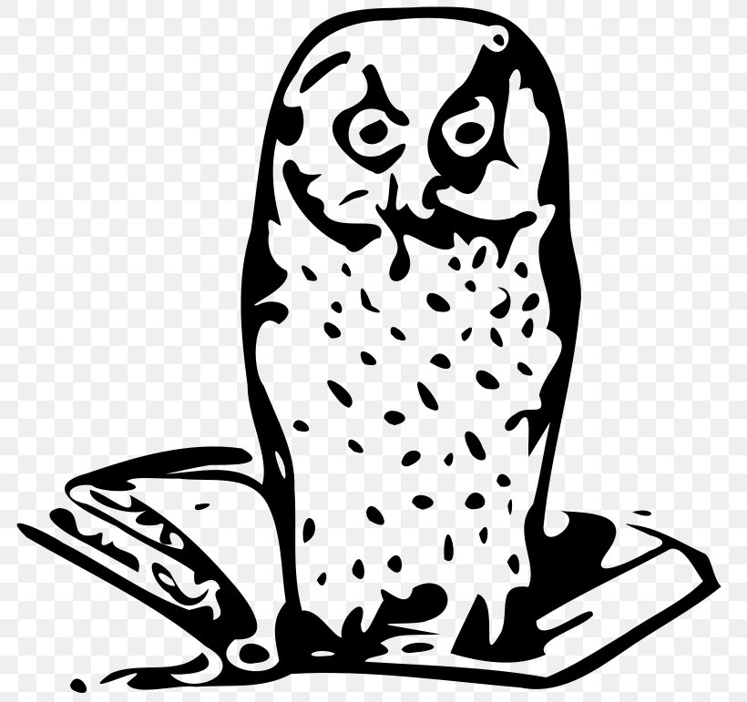 Owl Bird Book Clip Art, PNG, 800x771px, Owl, Art, Beak, Bird, Bird Of Prey Download Free