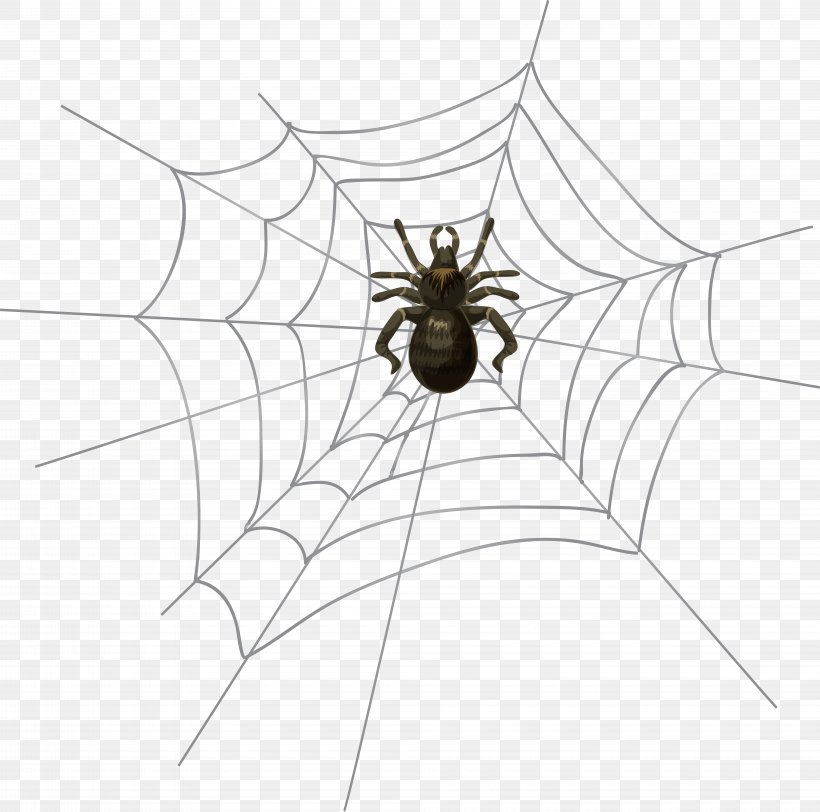 Spider Halloween Clip Art, PNG, 8000x7922px, Spider, Arachnid, Arthropod, Black And White, Camera Download Free