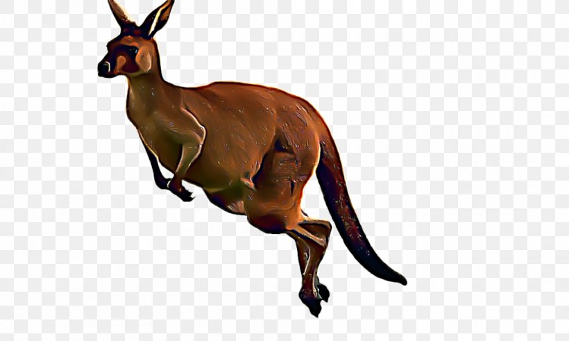 Animal Cartoon, PNG, 1000x600px, Kangaroo, Animal, Animal Figurine, Chamois, Macropodidae Download Free