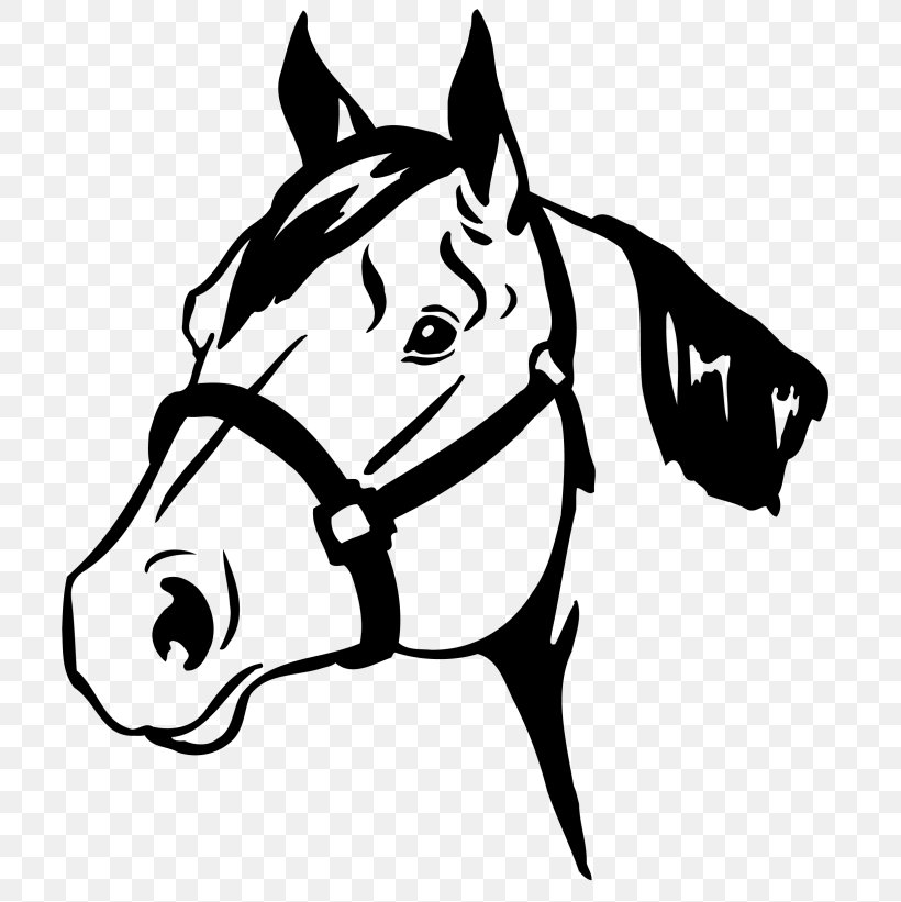 Horse Show Horse Safety Equestrian 4-H, PNG, 768x821px, Horse, Animal Show, Artwork, Barrel Racing, Black Download Free