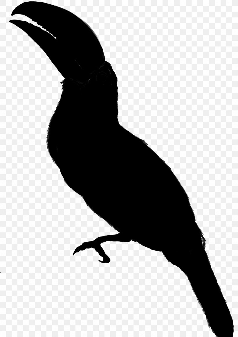Clip Art Free Content Image Silhouette Bird, PNG, 1131x1600px, Silhouette, Beak, Bird, Cartoon, Coraciiformes Download Free