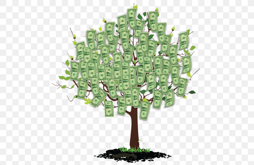 Money Wealth Finance Tree Plant, PNG, 524x533px, Money, Cash Flow, Demand, Finance, Grass Download Free