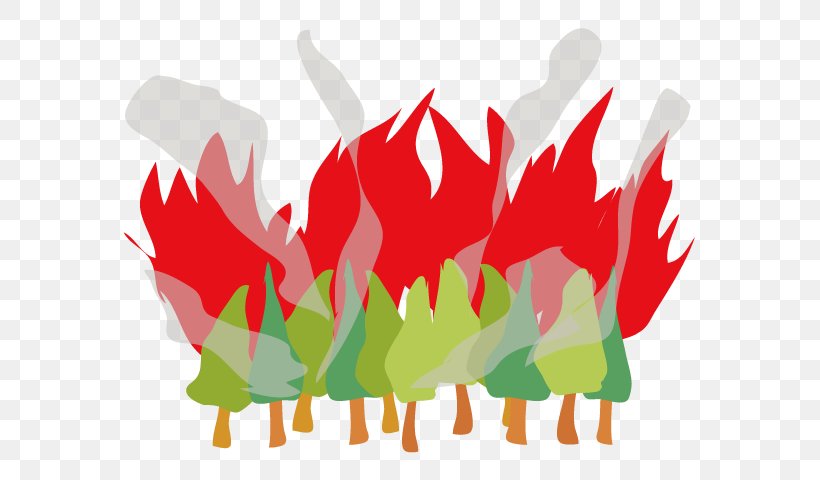 アクティブシニアライフ協会（特定非営利活動法人） Mount Yamato Katsuragi Wildfire Mountaineering, PNG, 640x480px, Wildfire, Conflagration, Fire, Flower, Forest Download Free