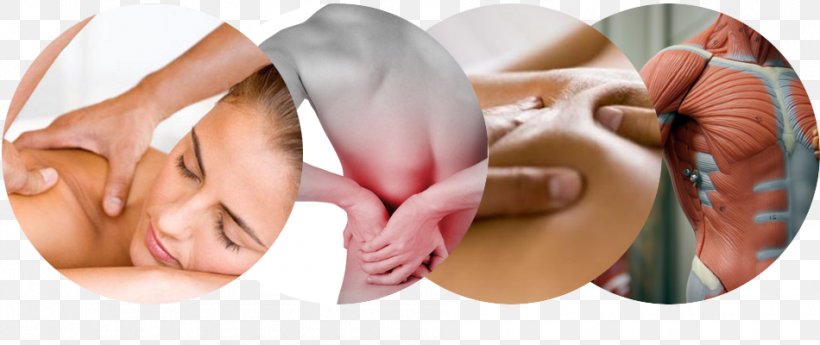 Thai Massage Muscle Apex Massage Therapy, PNG, 950x400px, Massage, Beauty, Cheek, Chin, Craniosacral Therapy Download Free