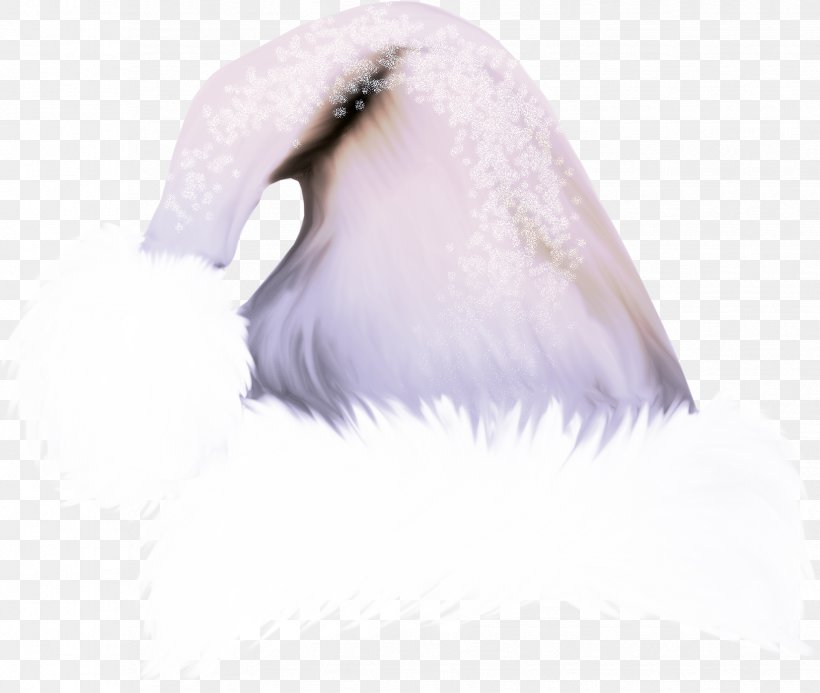 White Feather Clip Art, PNG, 1651x1397px, Feather, Beak, Bird, Ducks Geese And Swans, Fur Download Free