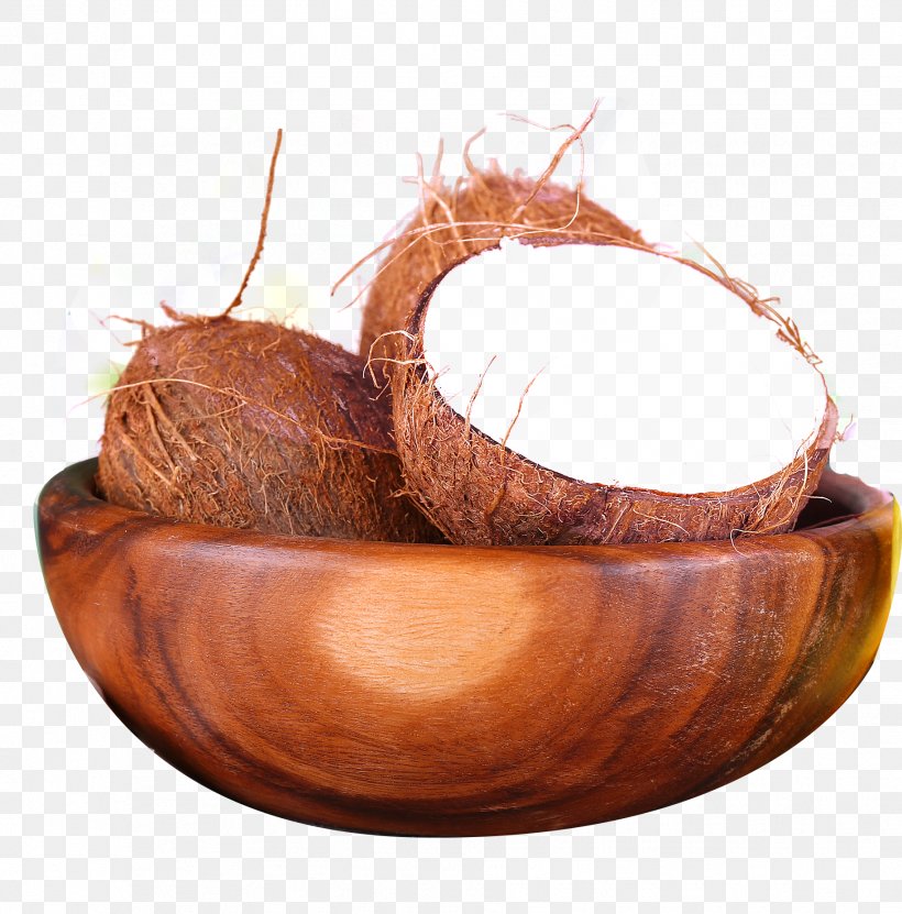Coconut Milk Euclidean Vector, PNG, 1828x1853px, Coconut Milk, Bowl, Coconut, Coconut Oil, Food Download Free