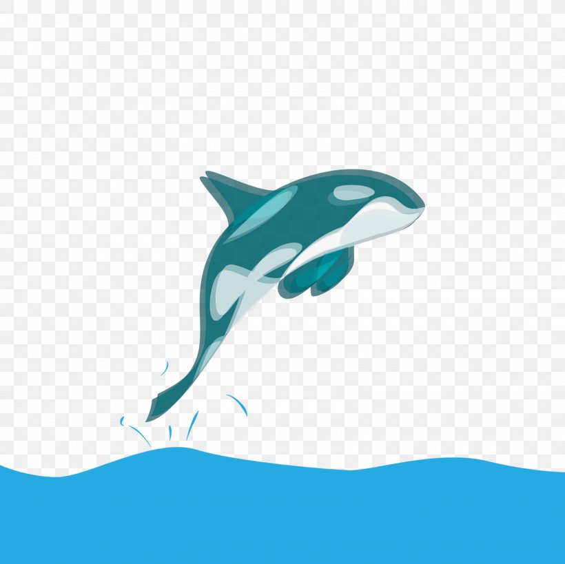 Common Bottlenose Dolphin Tucuxi Shark Desktop Wallpaper, PNG, 1600x1600px, Common Bottlenose Dolphin, Aqua, Azure, Biology, Blue Download Free