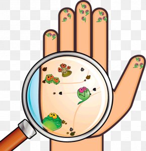 Homeschool Human Body Book - Hygiene Hand Washing PNG