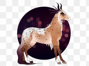 Mustang - Mustang Pack Animal FreikÃ¶rperkultur Giraffids PNG