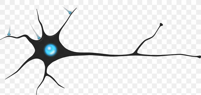 Neuron Synapse Artificial Neural Network Neuroscience Brain, PNG, 900x425px, Watercolor, Cartoon, Flower, Frame, Heart Download Free