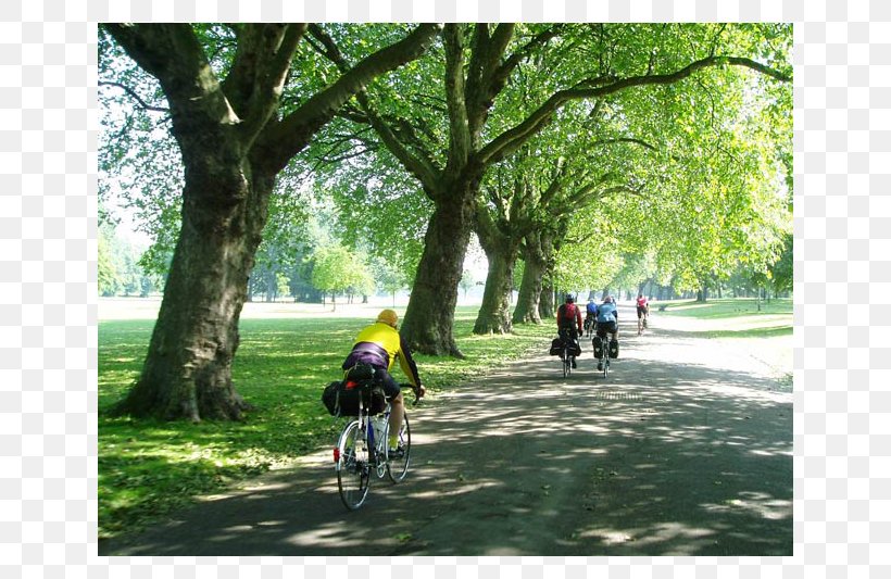 Road Bicycle Victoria Park, London Mountain Bike Adventure, PNG, 800x533px, Road Bicycle, Adventure, Adventure Film, Bicycle, Cycling Download Free
