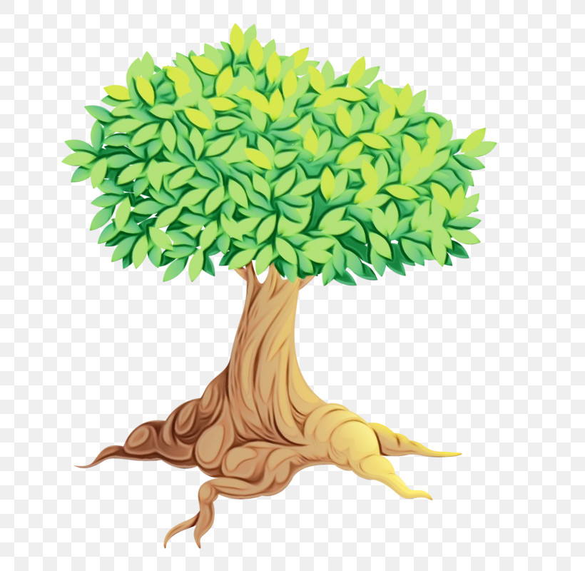 Royalty-free Tree Vector Drawing, PNG, 647x800px, Watercolor, Drawing, Paint, Royaltyfree, Tree Download Free