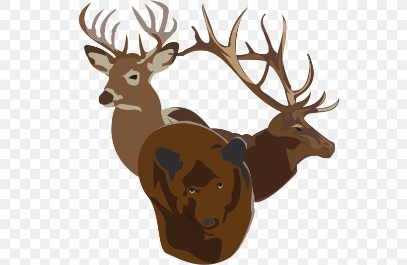 Elk Reindeer Hunting Antler, PNG, 600x533px, Elk, Animal, Antler, Bear, Blog Download Free