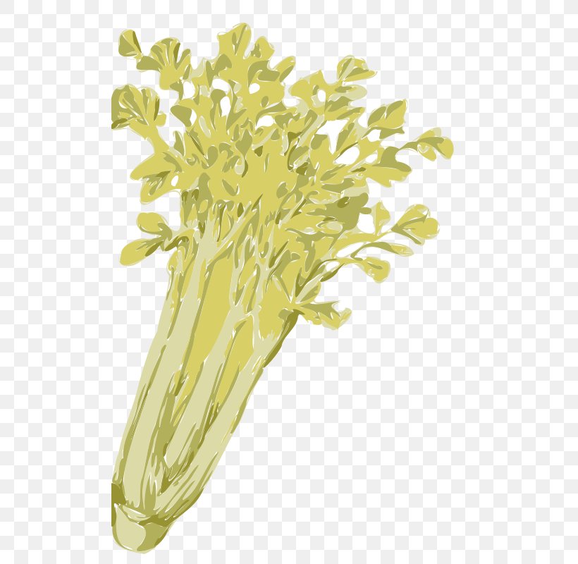 Celery Vegetable Clip Art, PNG, 503x800px, Celery, Branch, Celeriac, Commodity, Drawing Download Free