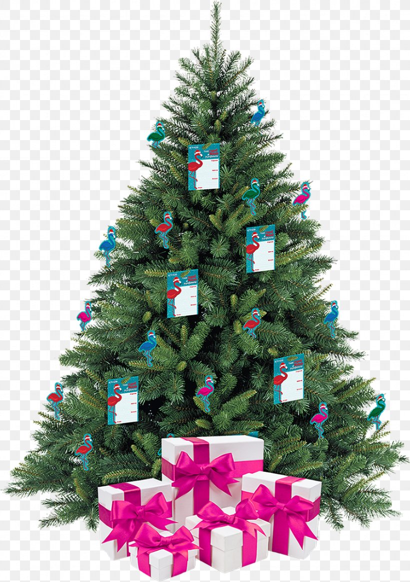 Christmas Tree Pine Stock Photography, PNG, 846x1200px, Christmas Tree, Christmas, Christmas Decoration, Christmas Ornament, Conifer Download Free