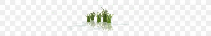 Green Grasses Line Tree Plant Stem, PNG, 3840x658px, Green, Family, Grass, Grass Family, Grasses Download Free