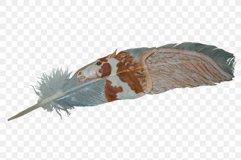 Eagle Feather Law Owl Adobe Photoshop, PNG, 1800x1200px, Feather, Card Game, Eagle, Eagle Feather Law, Fauna Download Free
