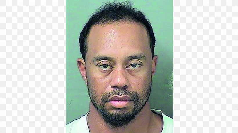Tiger Woods Florida The US Open (Golf) Arrest, PNG, 1011x568px, Tiger Woods, Arrest, Beard, Cheek, Chin Download Free