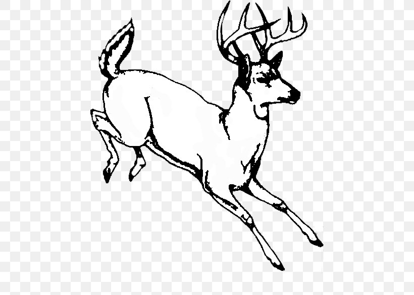 White-tailed Deer Line Art Drawing Image, PNG, 462x586px, Whitetailed Deer, Antler, Art, Artwork, Black And White Download Free
