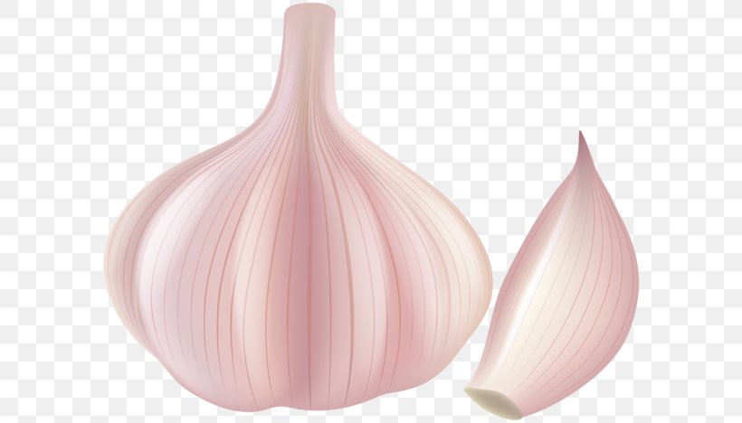 Garlic Clip Art, PNG, 600x468px, Garlic, Bing, Cartoon, Onion, Peach Download Free