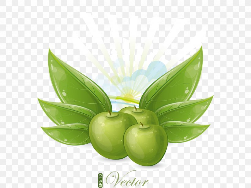 Green Apple, PNG, 2500x1877px, Green, Apple, Food, Fruit, Kiwifruit Download Free