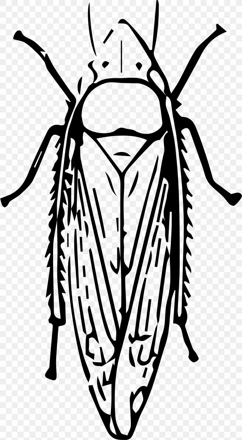Insect Leafhopper Clip Art, PNG, 1221x2217px, Insect, Artwork, Black And White, Coloring Book, Drawing Download Free