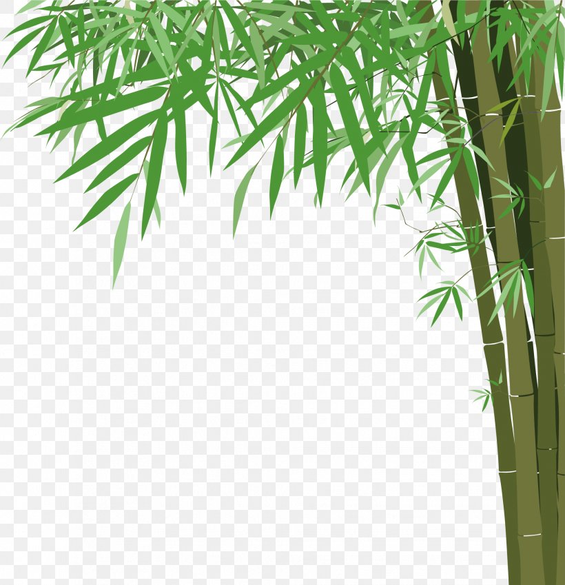 Bamboo Euclidean Vector Illustration, PNG, 1931x2000px, Bamboo, Drawing, Flowerpot, Grass, Grass Family Download Free