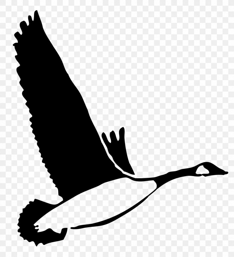 Duck Goose Feather Silhouette Clip Art, PNG, 1260x1381px, Duck, Beak, Bird, Black And White, Brazil National Football Team Download Free