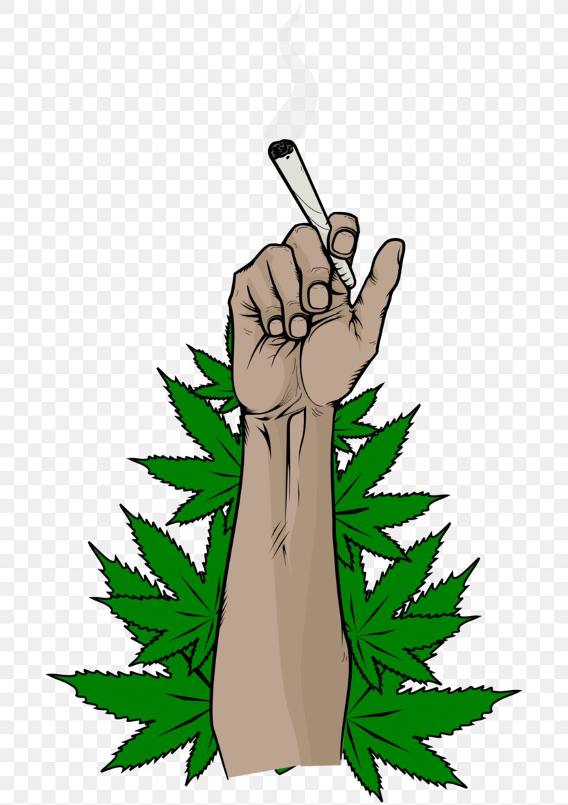 Hash, Marihuana & Hemp Museum Medical Cannabis Clip Art, PNG, 688x1162px, Hash Marihuana Hemp Museum, Cannabis, Cannabis Industry, Cannabis Smoking, Drawing Download Free