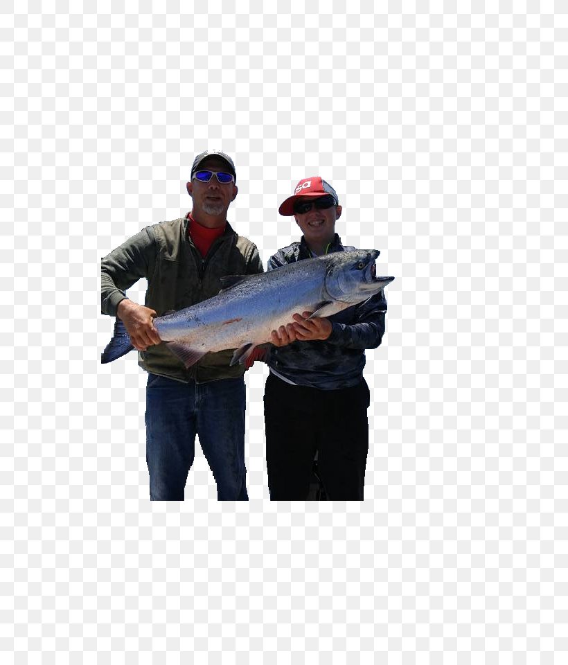 Rogue River Gold Beach Fishing Salmon, PNG, 528x960px, Rogue River, Fish, Fisherman, Fishing, Gold Beach Download Free
