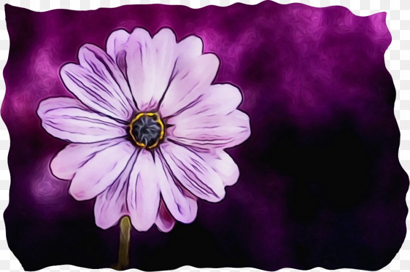 Pink Flower Cartoon, PNG, 972x645px, Saying, African Daisy, Being, Cosmos, Cushion Download Free