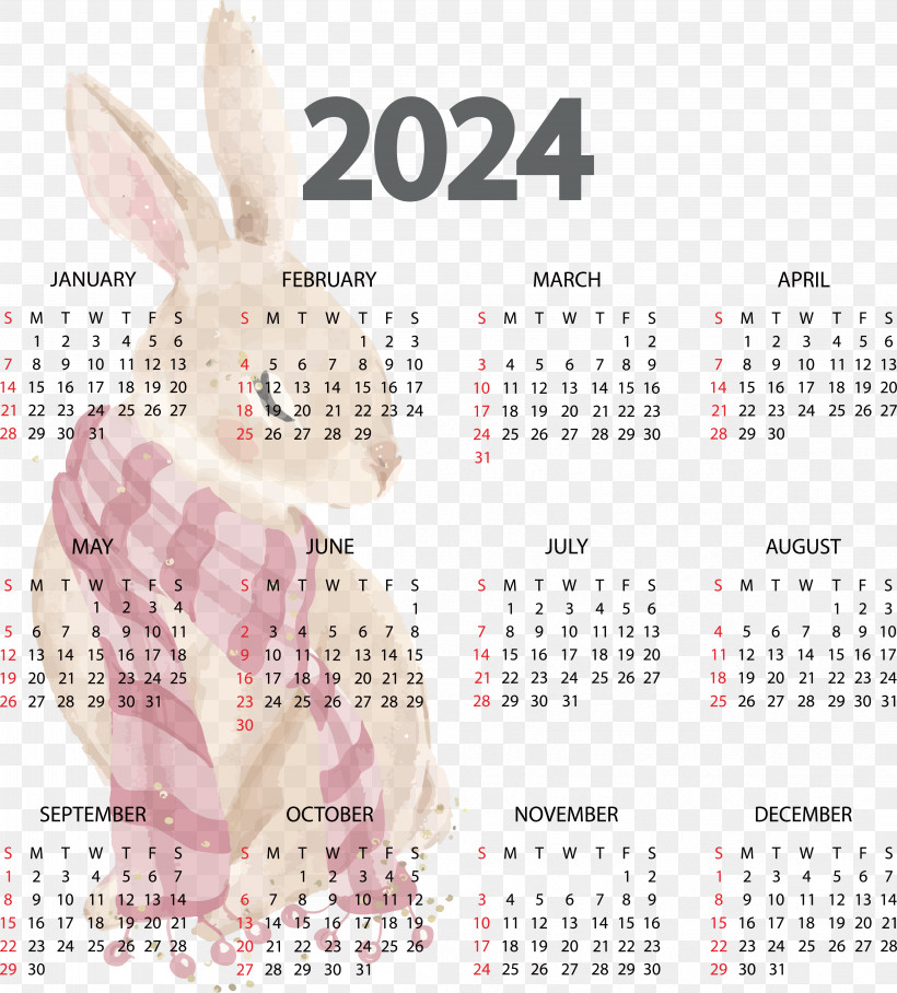 2023 New Year Calendar 2024 Names Of The Days Of The Week Week, PNG
