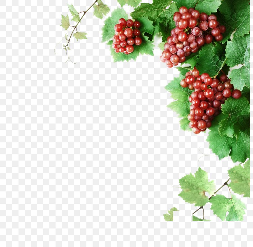 Cabernet Franc Wine Grape Vine Clip Art, PNG, 800x800px, Cabernet Franc, Berry, Bottle, Common Grape Vine, Food Download Free