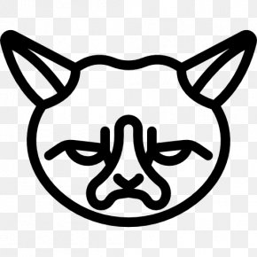 Angry, cat, cute, face, kitten, pet icon - Download on Iconfinder