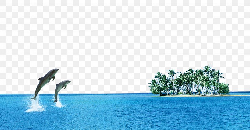 Oceanic Dolphin Sea Computer File, PNG, 3142x1641px, Dolphin, Arecaceae, Bird, Blue, Coco Download Free