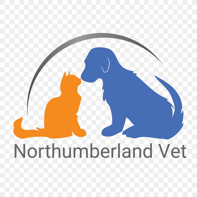 Dog Veterinary Medicine Veterinarian Pet Cat, PNG, 2625x2625px, Dog, Animal Shelter, Area, Brand, Carnivoran Download Free