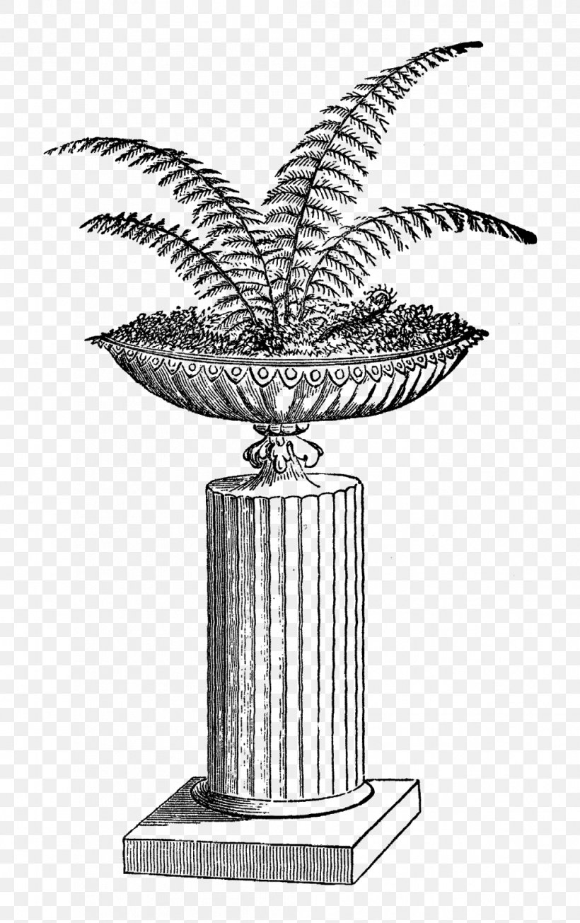 Fern Drawing Clip Art, PNG, 1006x1600px, Fern, Black And White, Can Stock Photo, Drawing, Featurepics Download Free