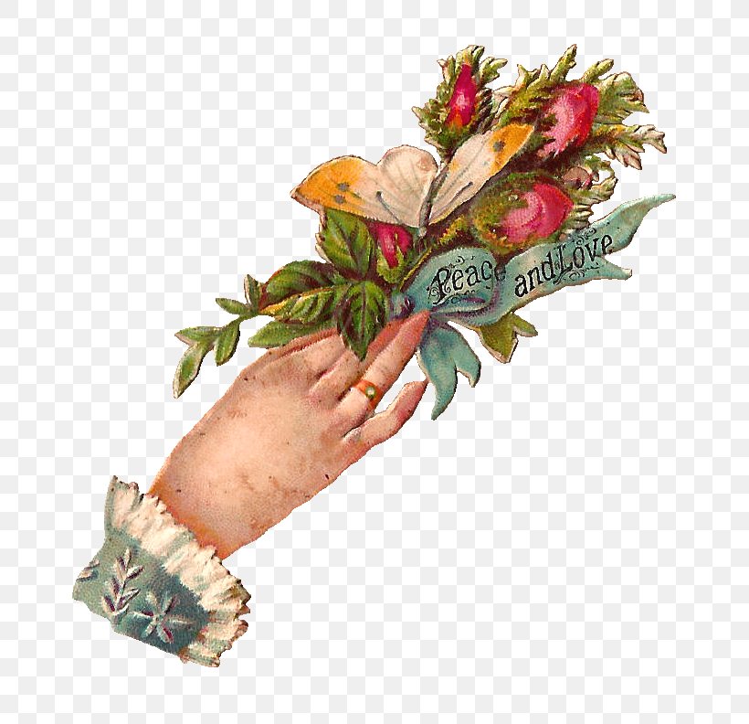 Floral Design Victorian Era Clip Art Hand Image, PNG, 762x792px, Floral Design, Cut Flowers, Digital Image, Drawing, Finger Download Free