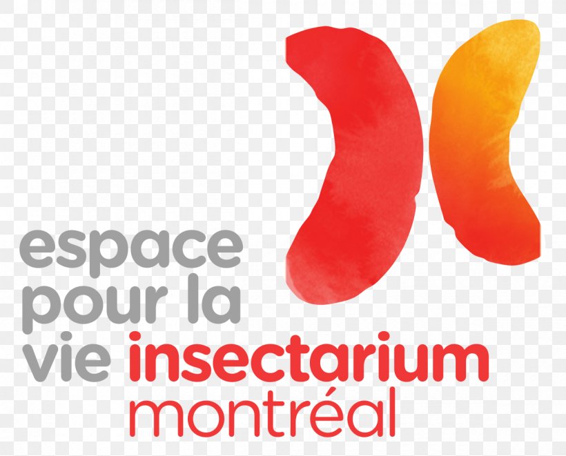 Montreal Insectarium Montreal Biodome Space For Life Logo Bee, PNG, 1200x968px, Logo, Bee, Brand, Logos, Montreal Download Free
