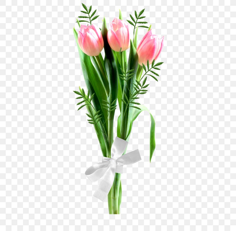 Garden Roses Floral Design Tulip Cut Flowers, PNG, 533x800px, 8 March, Garden Roses, Bud, Cut Flowers, Floral Design Download Free