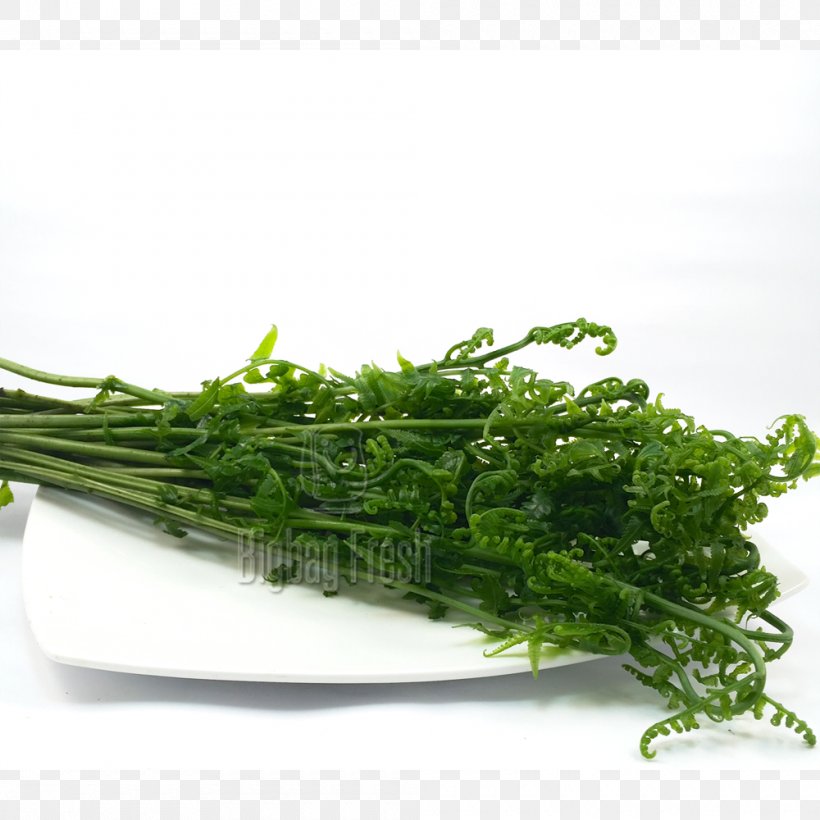 Herb Diplazium Esculentum Fern Spinach Leaf, PNG, 1000x1000px, Herb, Burknar, Chard, Choy Sum, Diplazium Esculentum Download Free