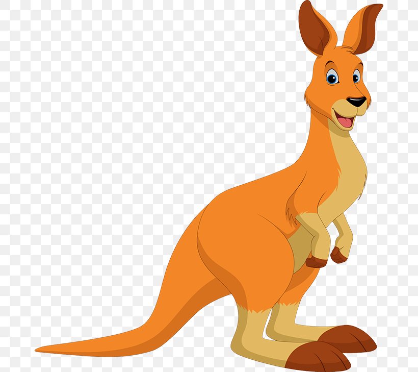 Kangaroo Red Fox Macropodidae Dog Canidae, PNG, 684x729px, Kangaroo, Canidae, Carnivoran, Cartoon, Dog Download Free