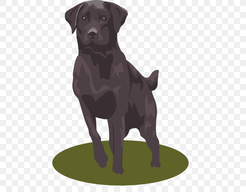 Labrador Retriever Clip Art Openclipart Vector Graphics Free Content, PNG, 482x640px, Labrador Retriever, Borador, Carnivoran, Companion Dog, Dog Download Free