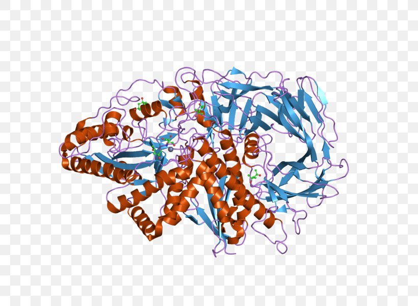 TASP1 Clinical Significance Organism Clip Art, PNG, 800x600px, Clinical Significance, Art, Enzyme, Function, Gene Download Free