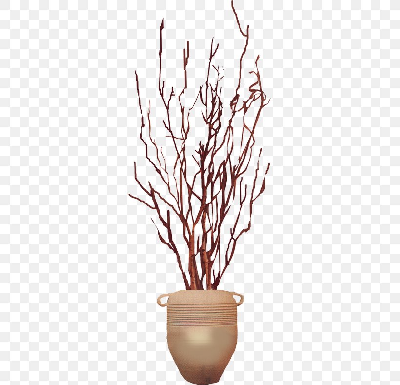 Vase Designer, PNG, 600x789px, Vase, Bottle, Branch, Ceramic, Designer Download Free