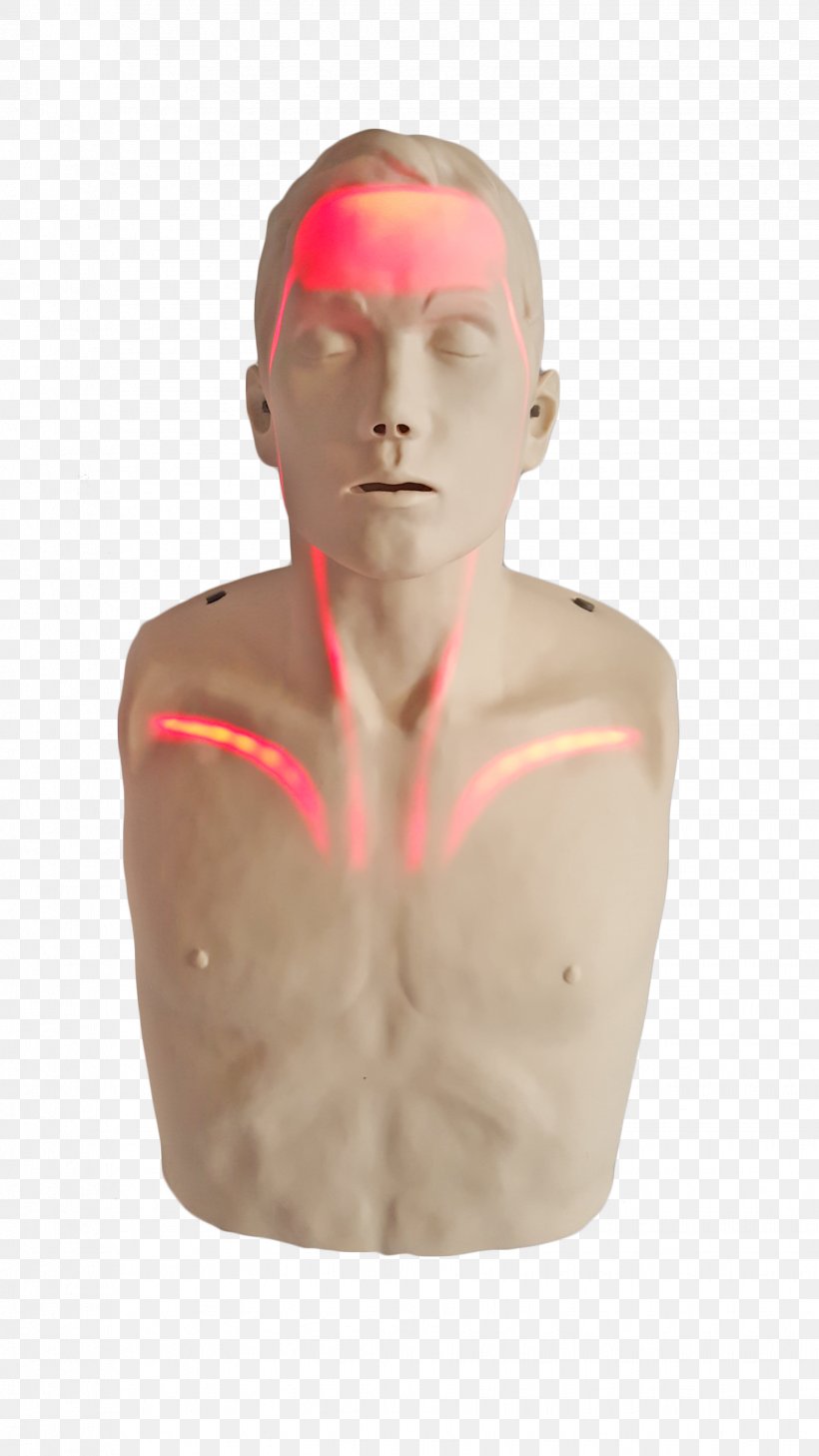 Cardiopulmonary Resuscitation Mannequin Transparent Anatomical Manikin Light, PNG, 1836x3264px, Cardiopulmonary Resuscitation, Airway Management, American Red Cross, Automated External Defibrillators, Cheek Download Free